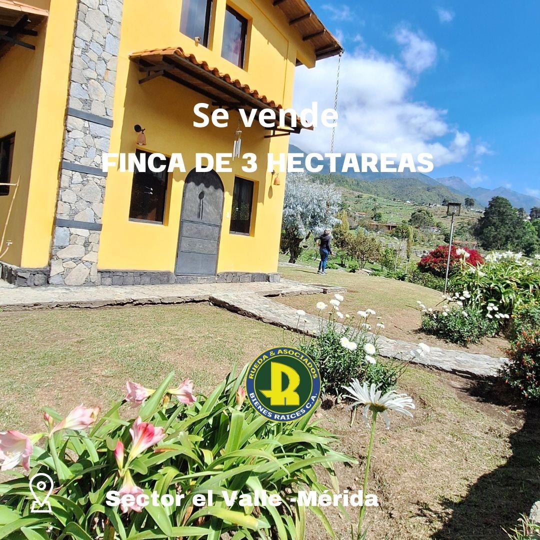 Finca en Venta - Alto Viento - El Valle - Mérida estado Mérida